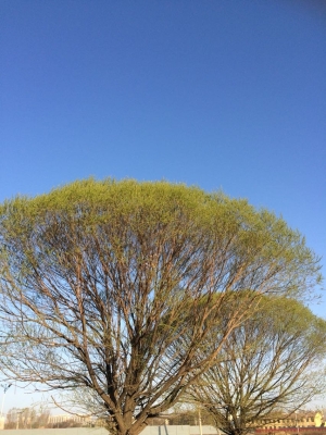 赤峰市雅萱按摩院电话号码-第1张图片